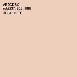#EDCDBC - Just Right Color Image